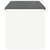 vidaXL Banc d'entr&eacute;e avec coussin Blanc 103 x 38 x 40 cm