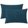 vidaXL Coussin avec oreiller HEERLEN 2 pi&egrave;ces Bleu Velours