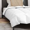 vidaXL Duvet d'hiver avec oreiller 2 pcs Blanc Plume de canard