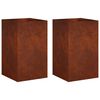 vidaXL Cache-pot de jardin 2 pc Rouill&eacute; 30 x 30 x 40 cm Acier patin&eacute;