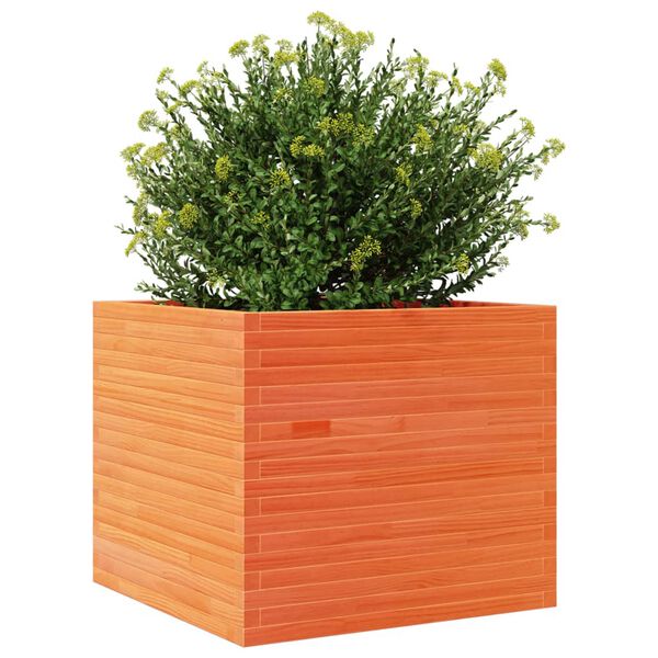 vidaXL Jardini&egrave;re cire marron 80x80x68,5 cm bois de pin massif