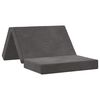 vidaXL Canap&eacute;-lit pliable 100 x 67 x 45 cm Gris fonc&eacute;
