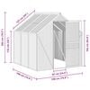 vidaXL Serre avec cadre de base Anthracite Aluminium 3,61 m²