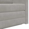 vidaXL Canap&eacute;-Lit 110cm Gris clair Velours
