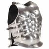vidaXL Cuirasse d'armure corporelle de soldat romain GN Argent&eacute; Acier