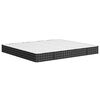 vidaXL Matelas &agrave; ressorts bonnell moyen 180x200 cm