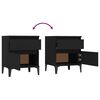 vidaXL Tables de chevet 2 pcs Noir 40x35x50 cm
