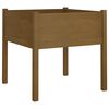 vidaXL Jardini&egrave;re d'ext&eacute;rieur Marron miel 70x70x70 cm Pin massif