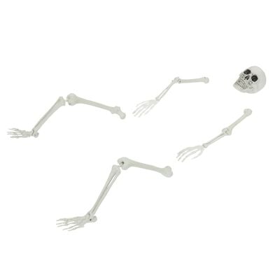 Squelette Halloween avec piquets de sol blanc 45,5 x 13 cm