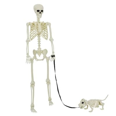 Lot de 2 squelettes Halloween blancs 155 x 38,5 cm