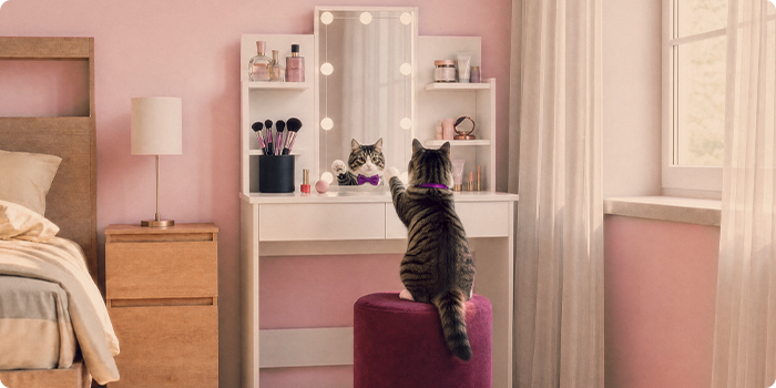 Chat assis devant une coiffeuse avec des étagères de rangement dans une chambre rose.