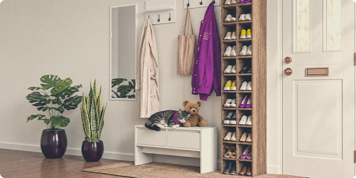 Chat qui se repose sur un banc de rangement à côté d’un meuble à chaussures dans le hall.