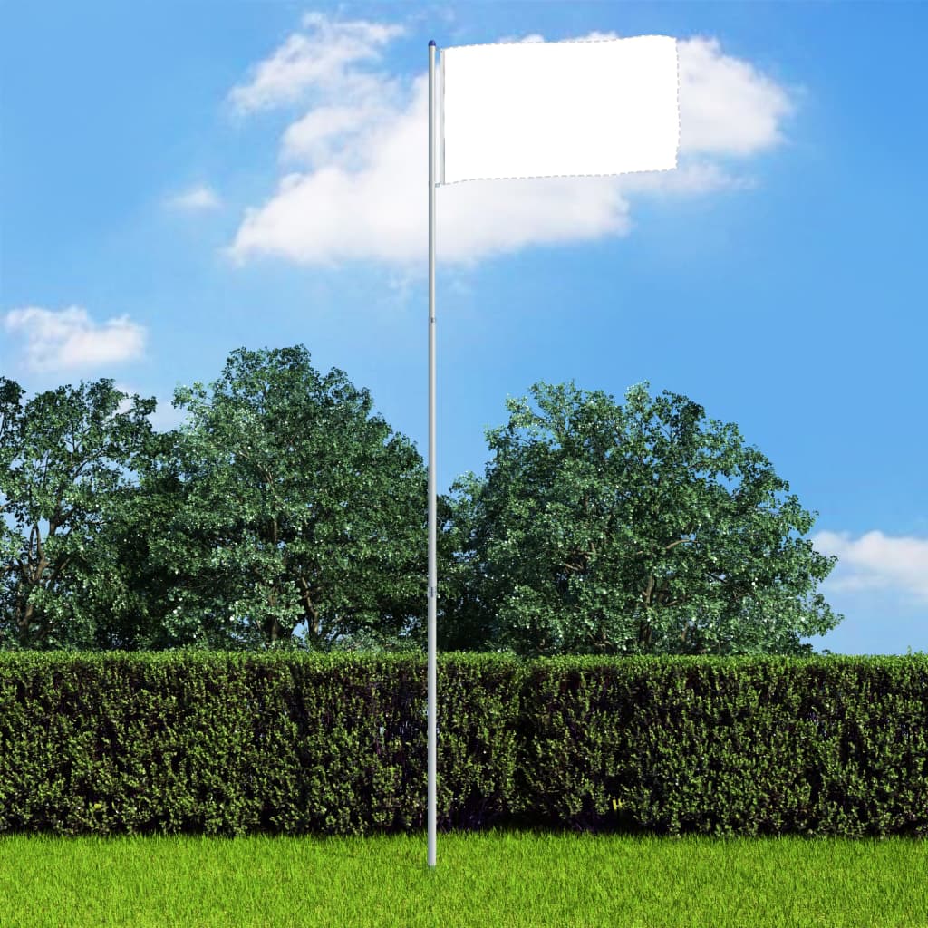 vidaXL Mât de drapeau télescopique Aluminium 6 m