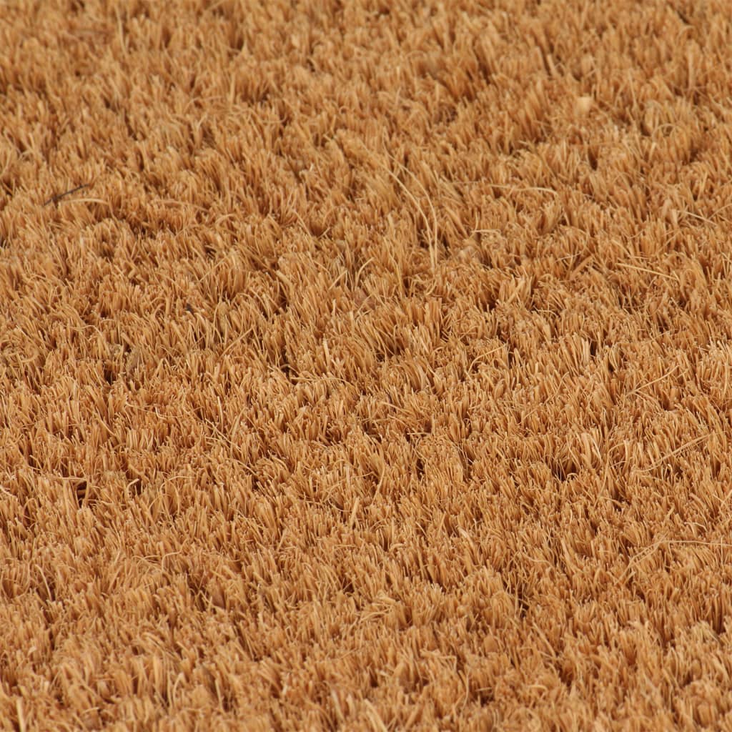 vidaXL Tapis de porte naturel 100x300 cm fibre de coco touffeté