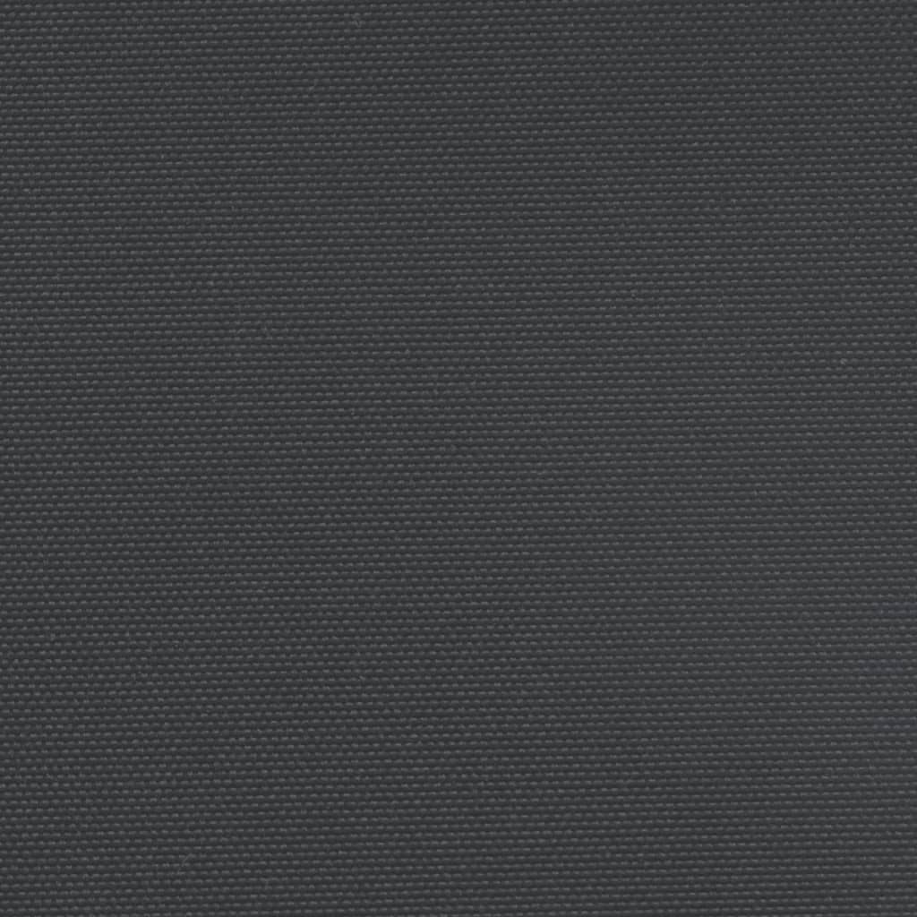 vidaXL Auvent latéral rétractable noir 120x1200 cm