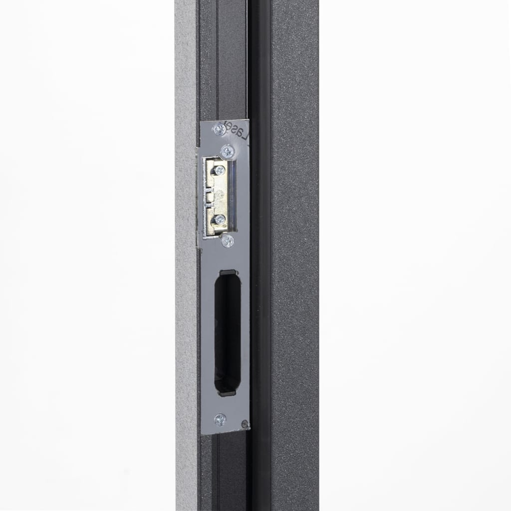 vidaXL Porte d'entrée anthracite 100x200 cm aluminium