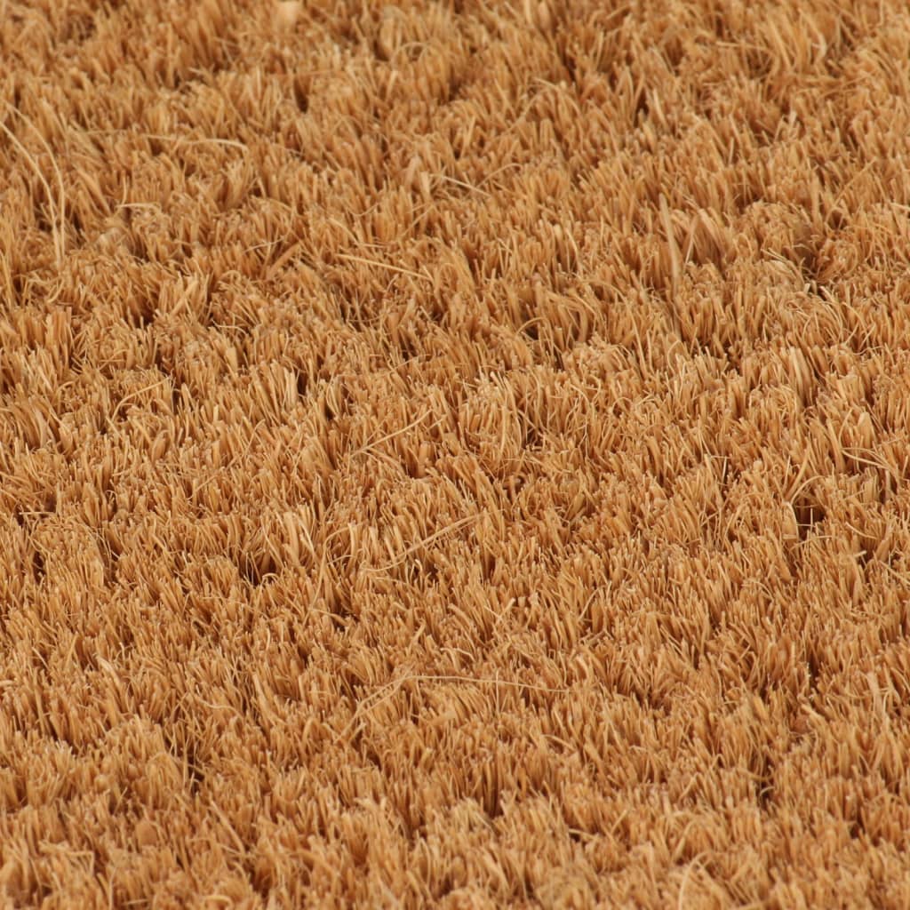vidaXL Tapis de porte naturel 65x100 cm fibre de coco touffeté
