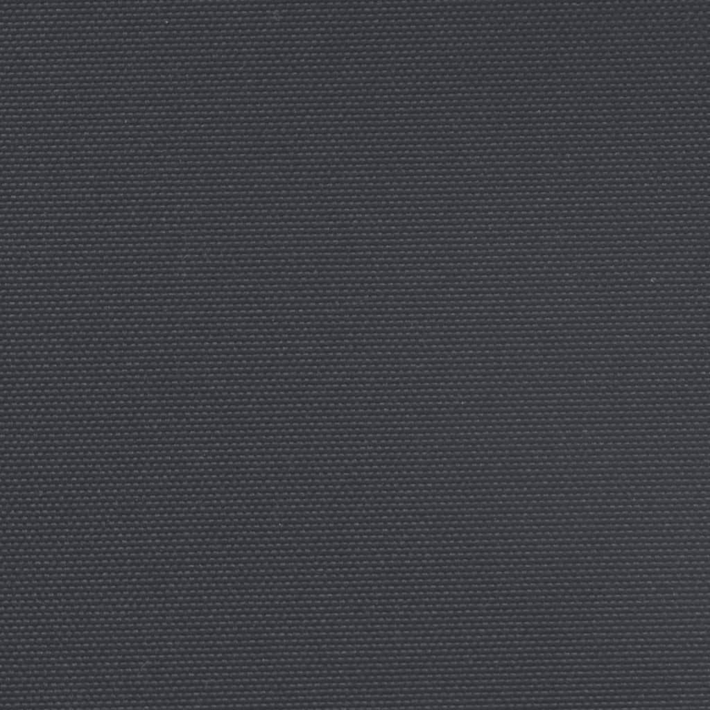 vidaXL Auvent latéral rétractable noir 160x600 cm