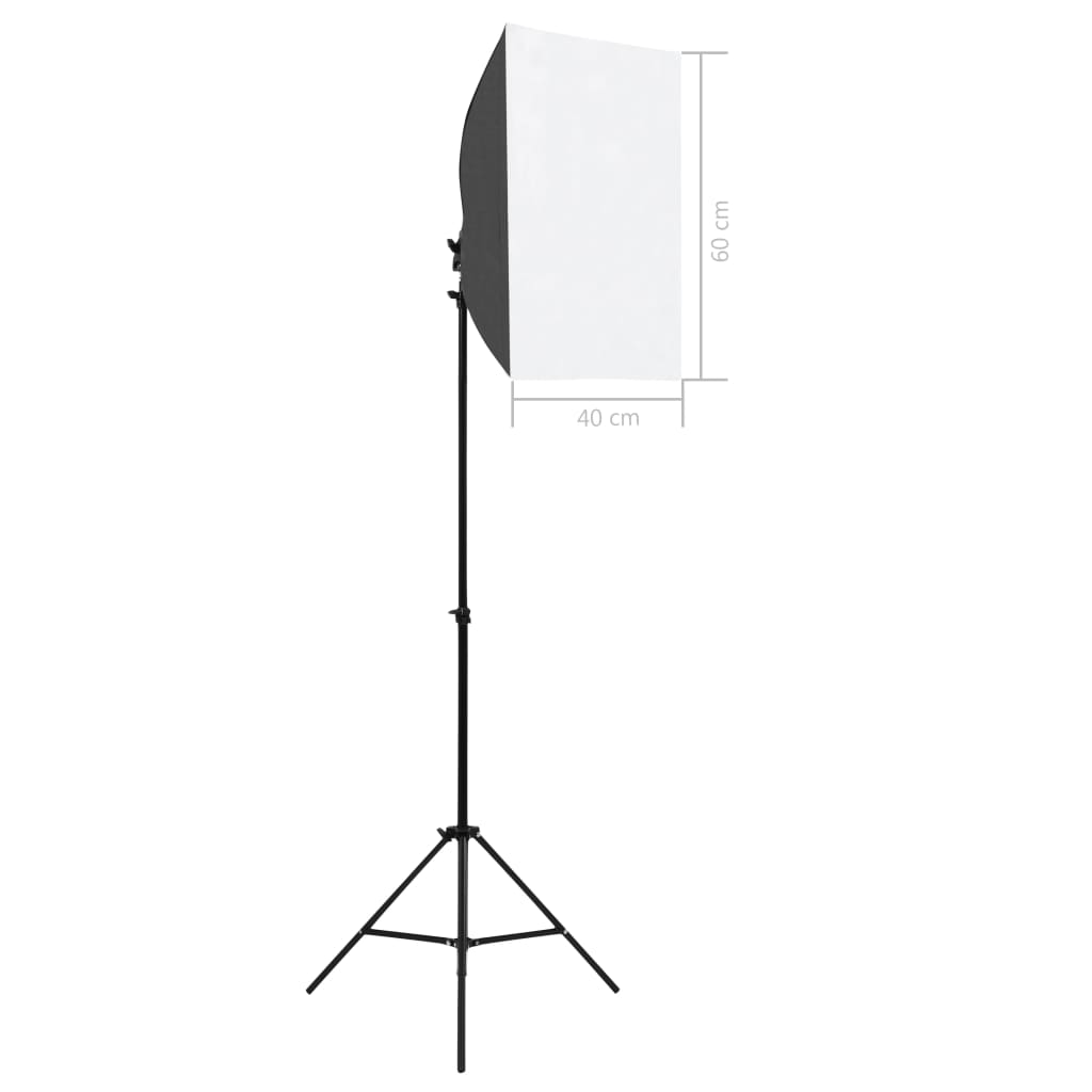 vidaXL Lampes de studio professionnelles 2 pcs 40x60 cm Acier Noir