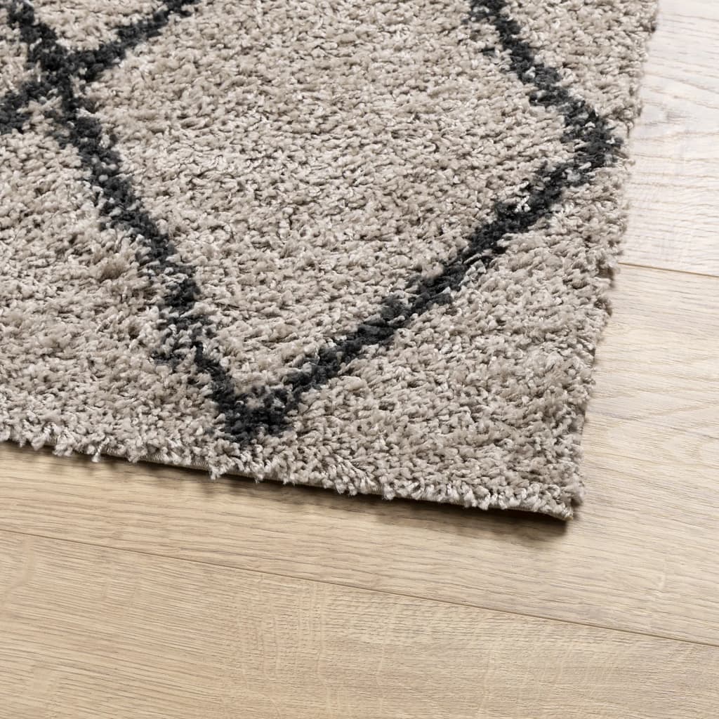 vidaXL Tapis shaggy à poils longs moderne beige anthracite 140x200 cm