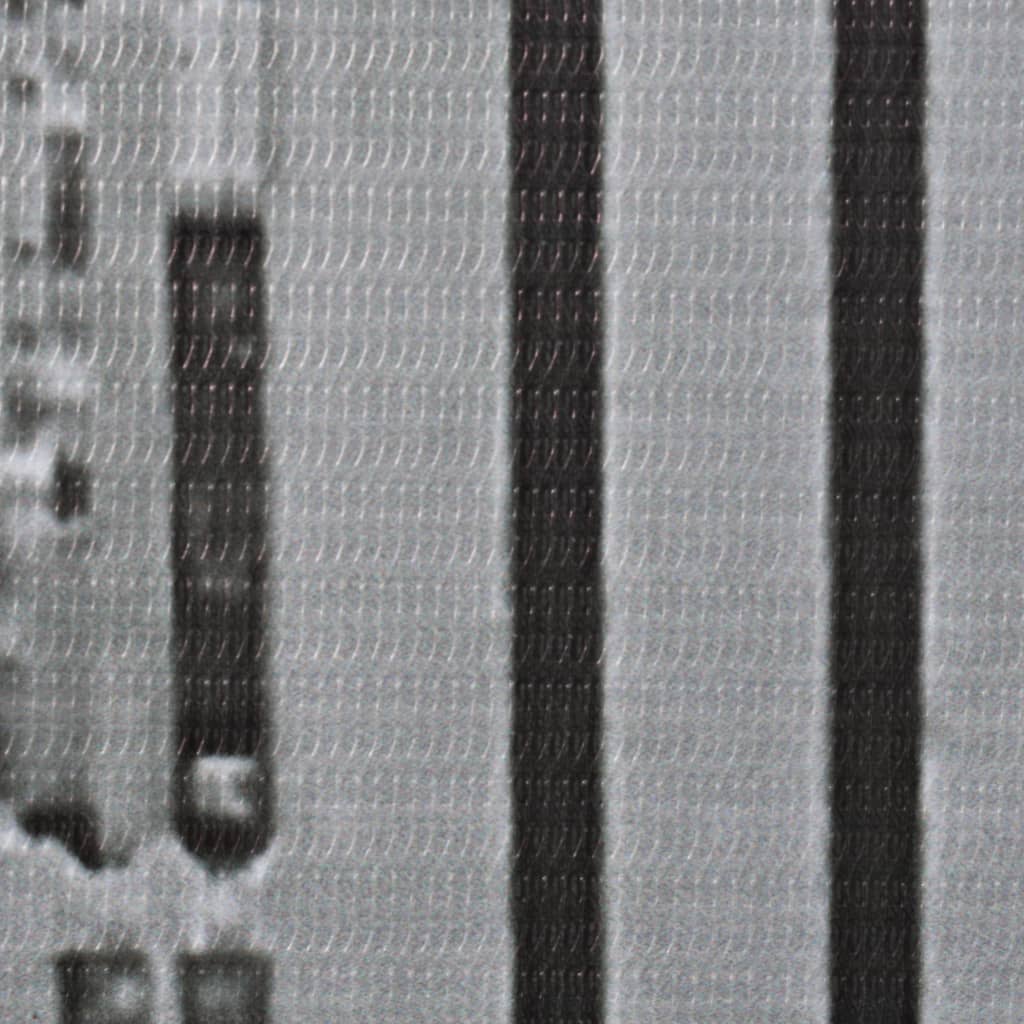vidaXL Cloison de séparation pliable 120x170 cm New York Noir et blanc