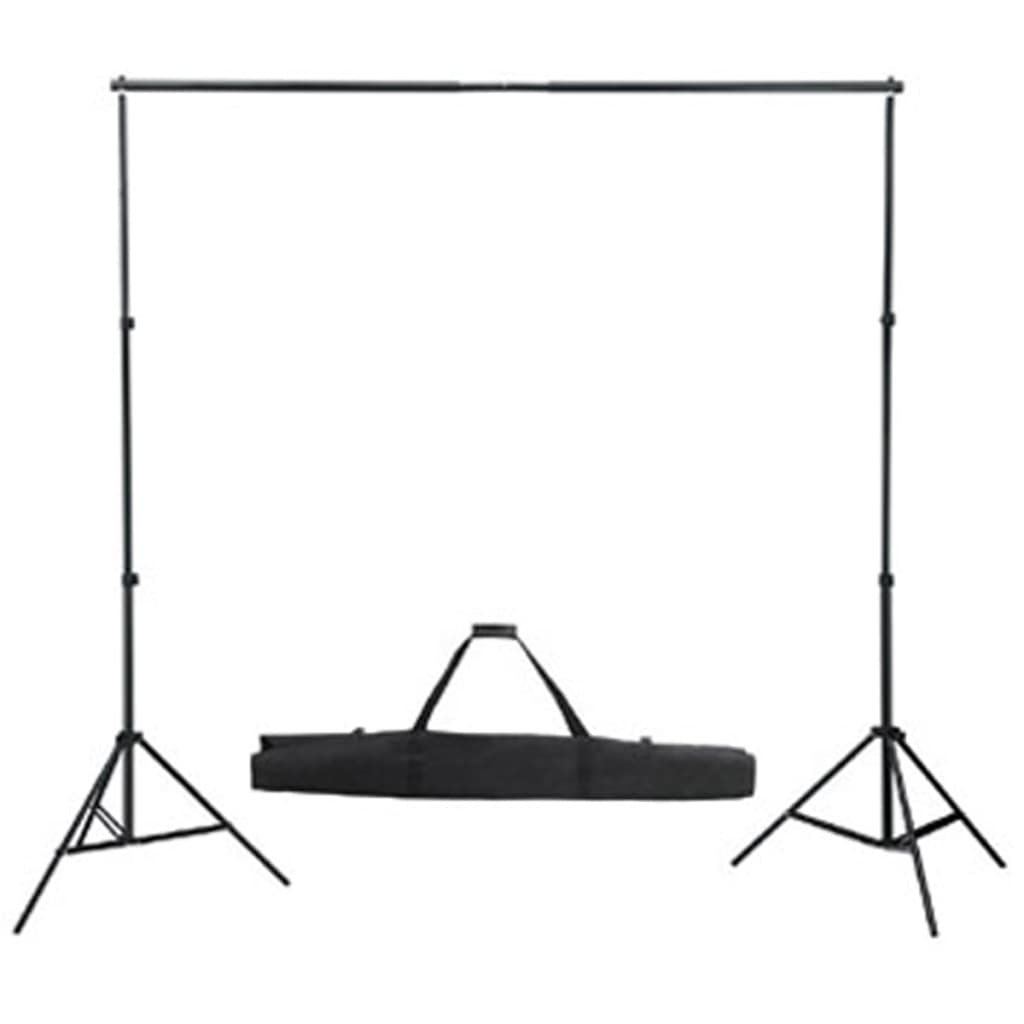 vidaXL Kit de studio avec toile de fond blanche 600x300 cm et lumières