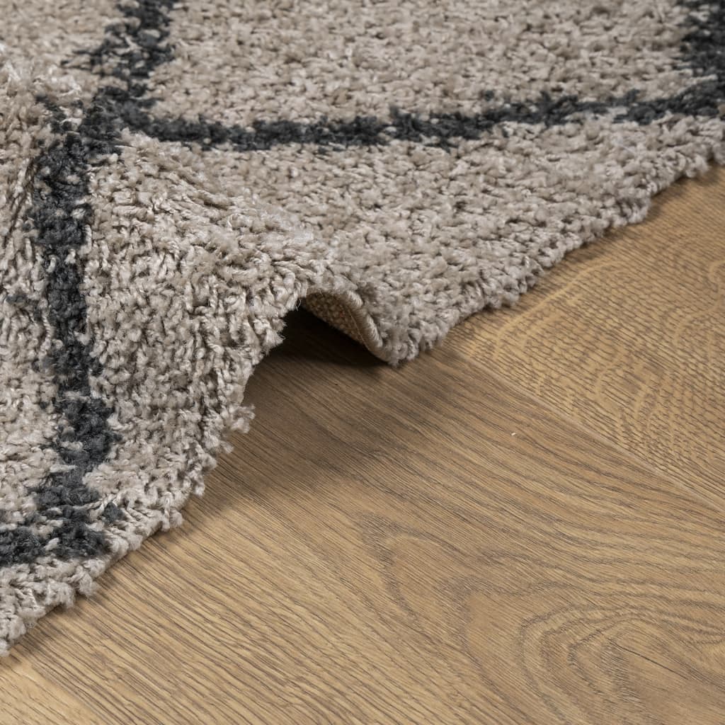 vidaXL Tapis shaggy à poils longs moderne beige anthracite 140x200 cm