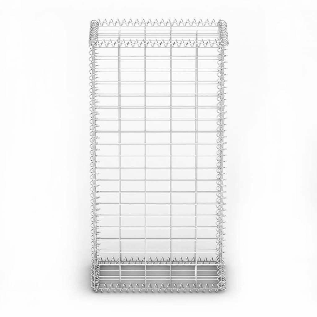 vidaXL Panier de gabion avec couvercle Fil galvanisé 100x50x30 cm