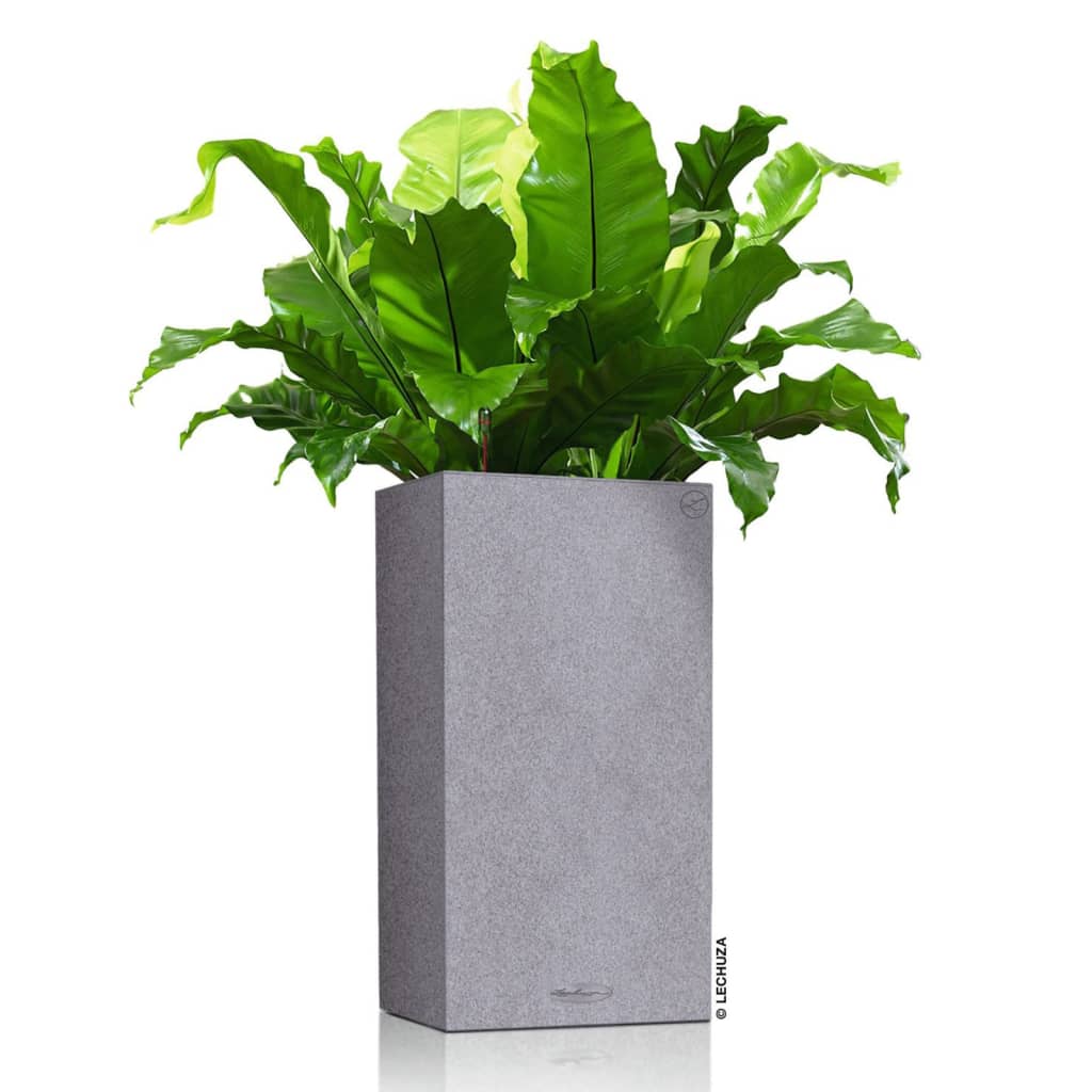 LECHUZA Jardinière CANTO Stone 40 High ALL-IN-ONE Gris pierre