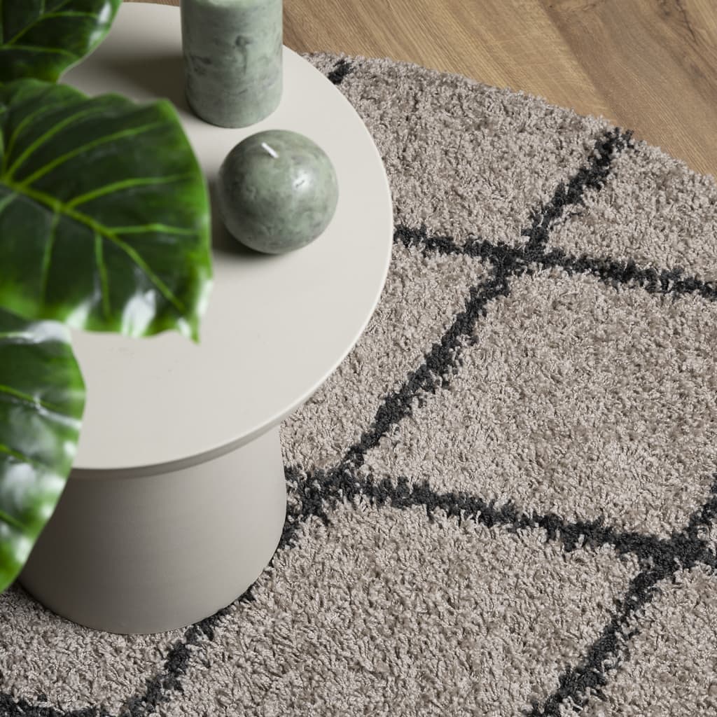 vidaXL Tapis shaggy à poils longs moderne beige et anthracite Ø 200 cm