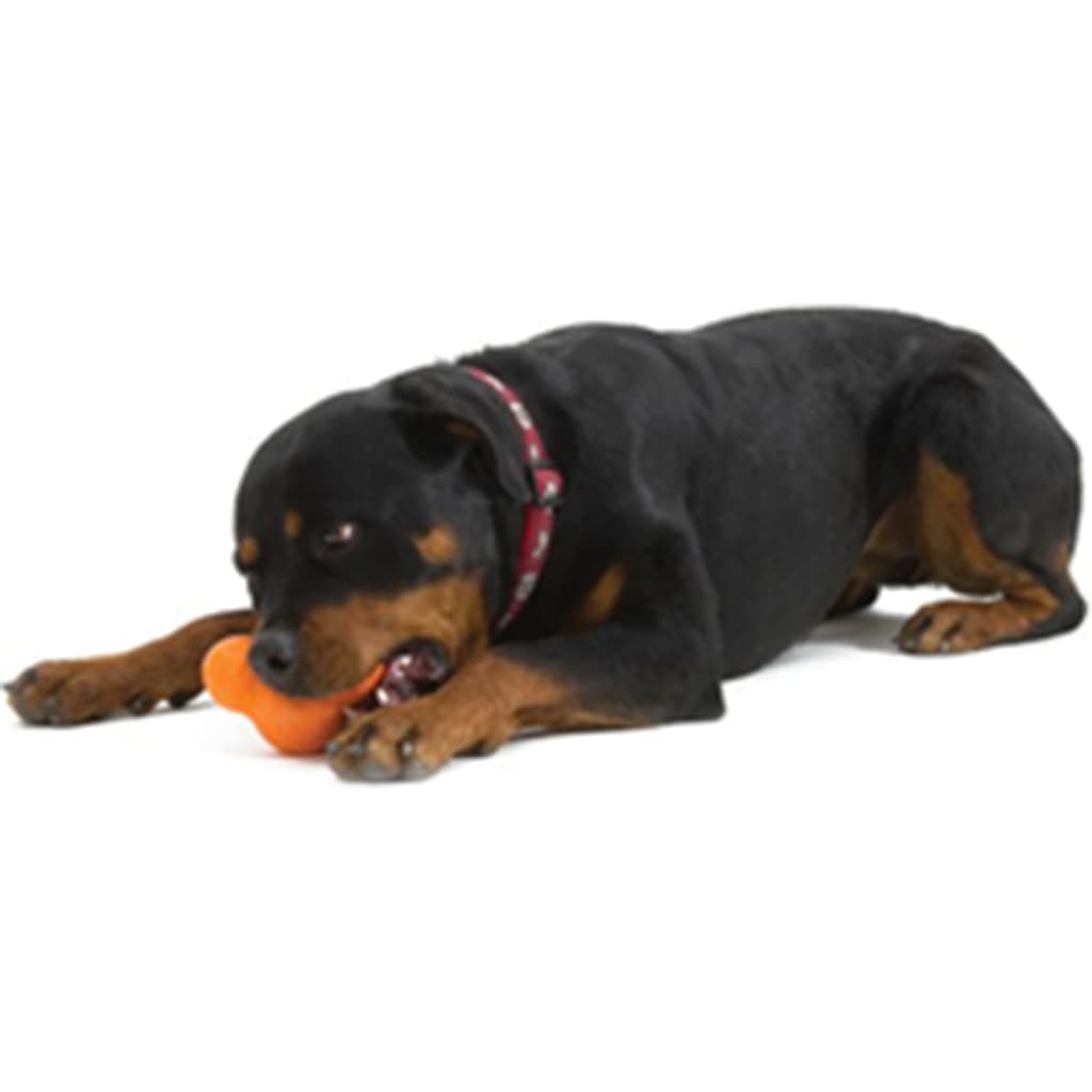 West Paw Jouet pour chiens avec Zogoflex Tux Orange mandarine S