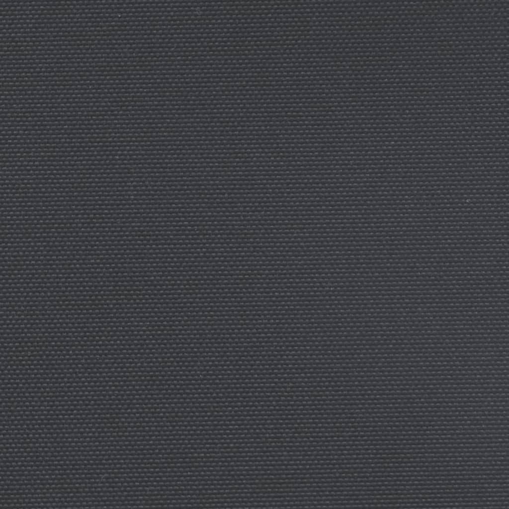 vidaXL Auvent latéral rétractable noir 200x500 cm