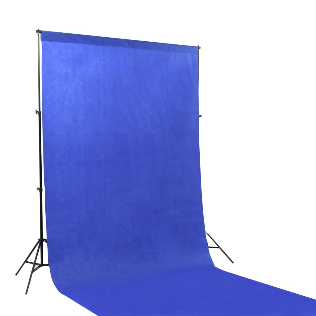 vidaXL Kit de studio photo avec éclairage et toiles de fond