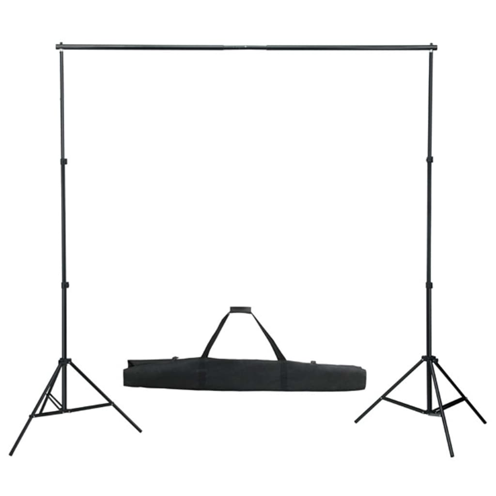 vidaXL Kit de studio photo avec ensemble d'éclairage et toile de fond
