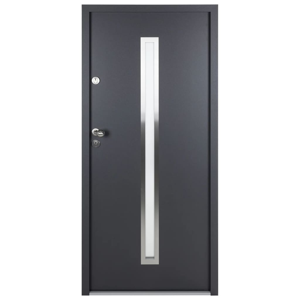 vidaXL Porte d'entrée anthracite 100x200 cm aluminium