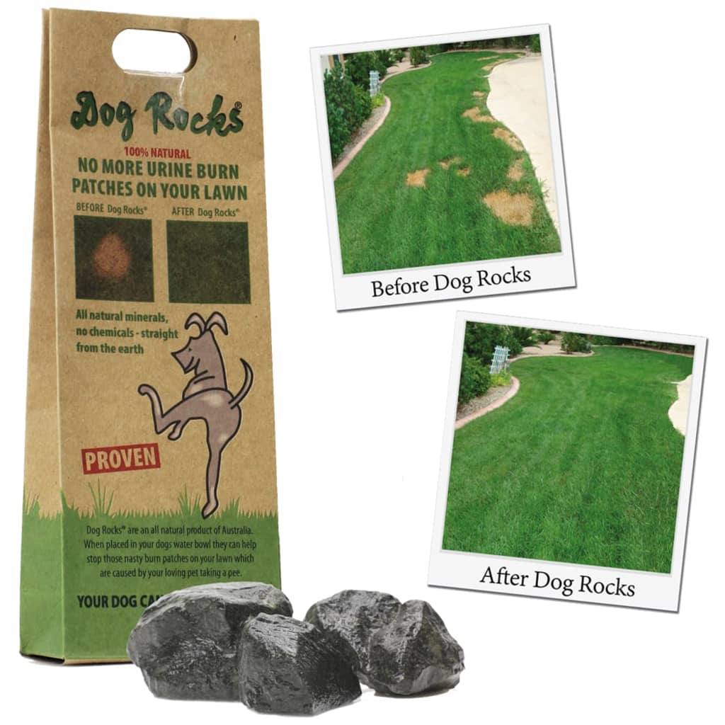 Dog Rocks Roches contre tache d'urine de chien